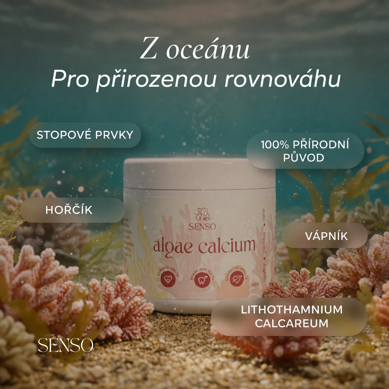 Vápník z řas — obrázek 5