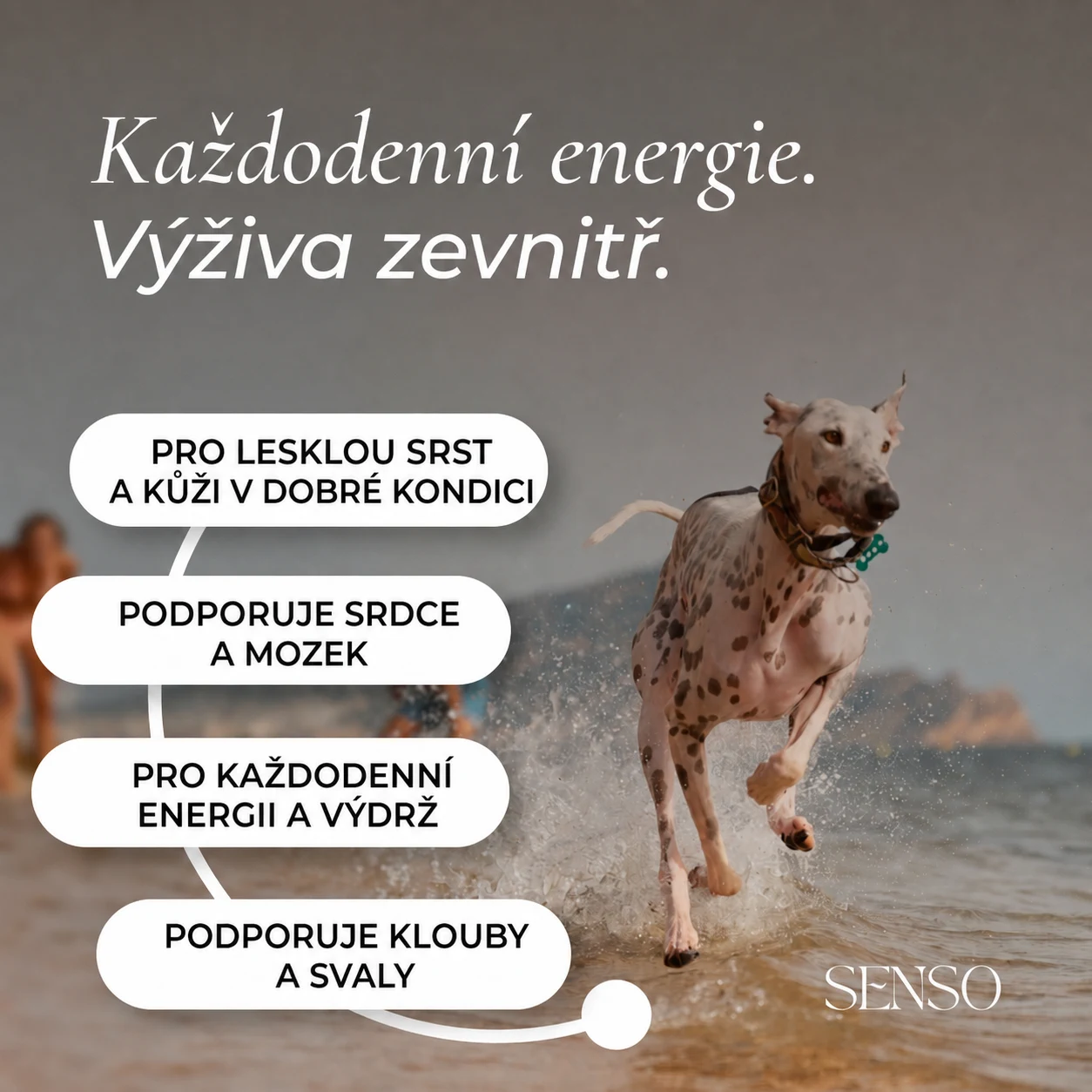 Mouka z antarktického krilu — obrázek 2
