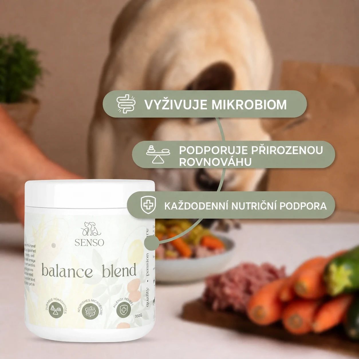 Balance Blend — obrázek 3