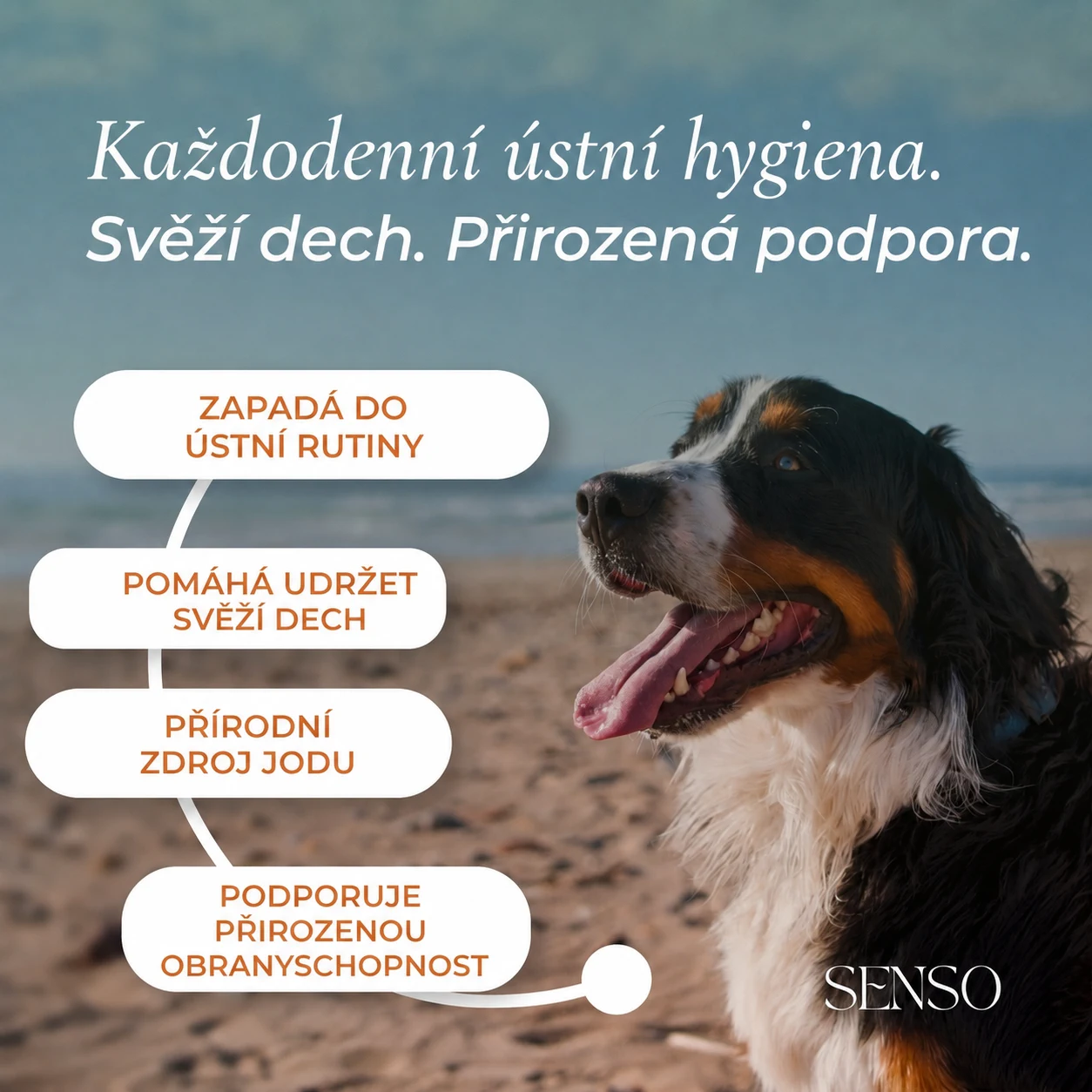 Hnědé řasy — obrázek 2