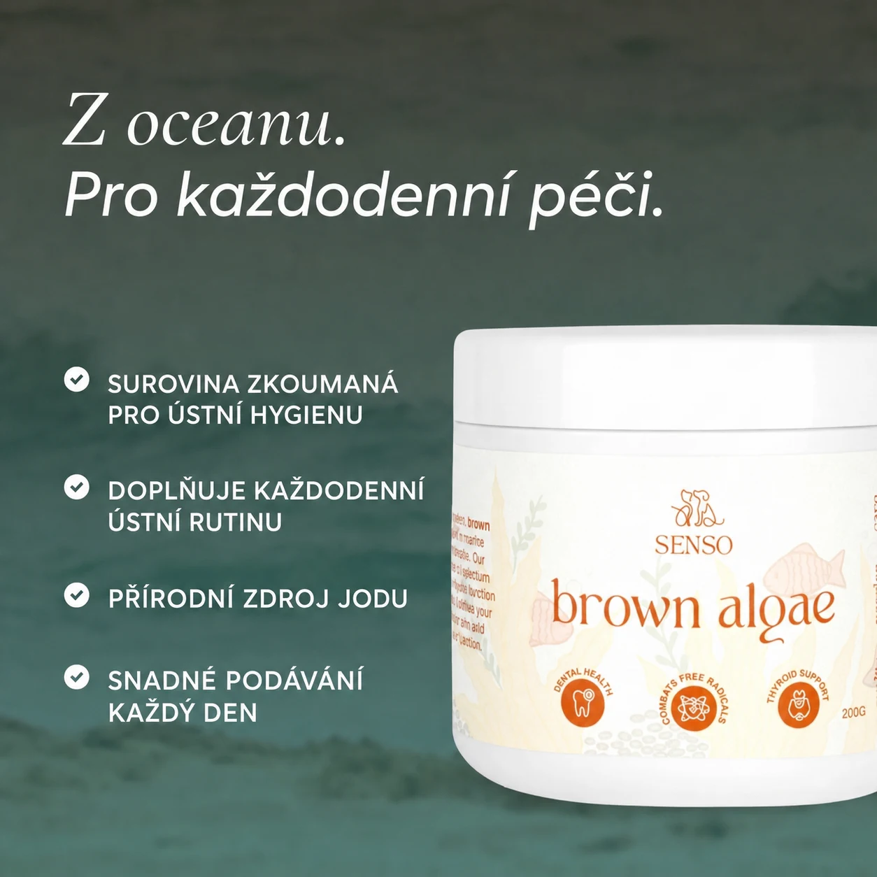 Hnědé řasy — obrázek 4