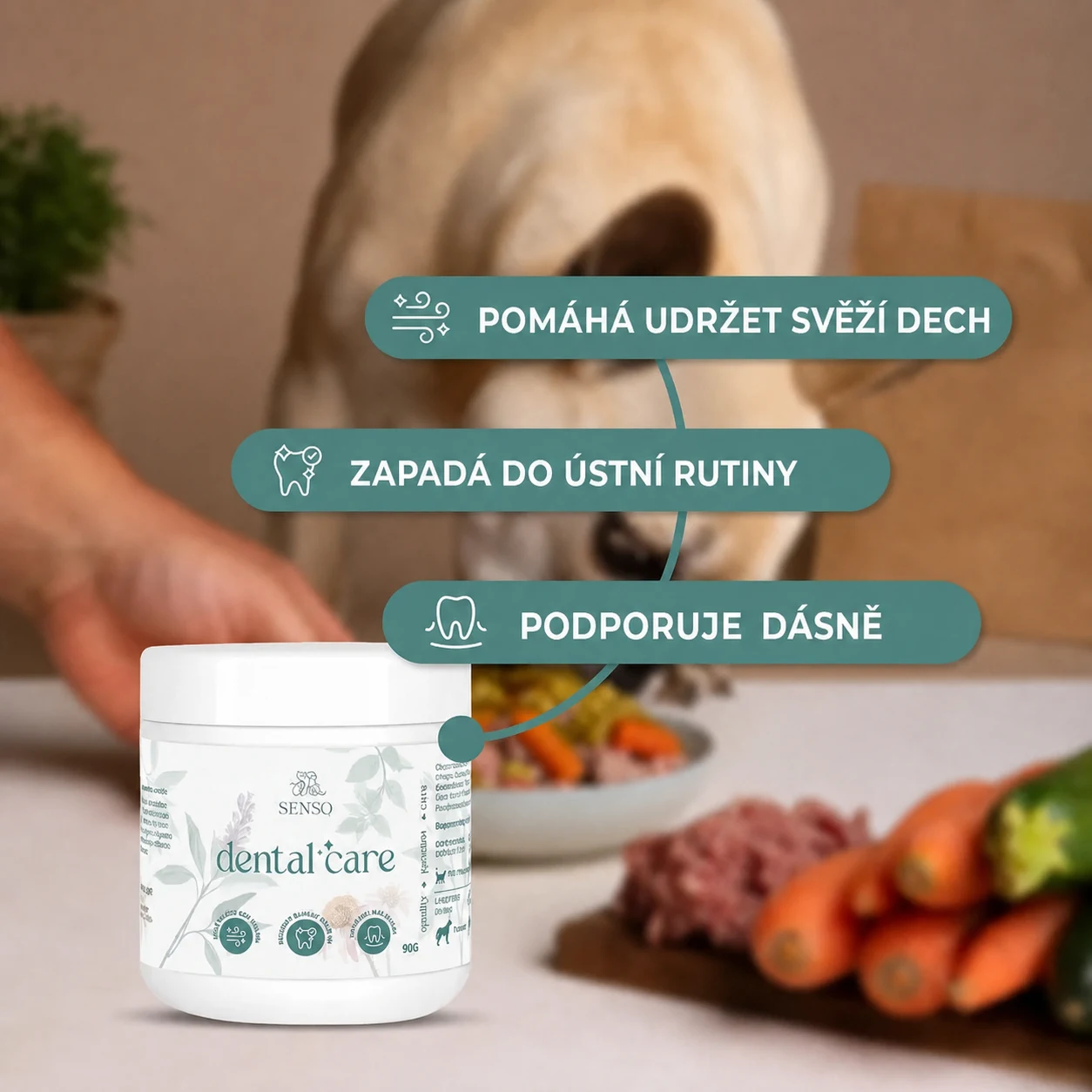 Péče o zuby — obrázek 3