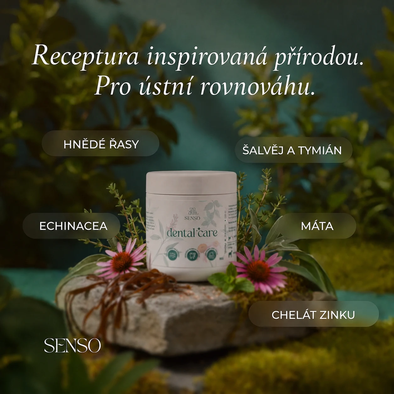 Péče o zuby — obrázek 5