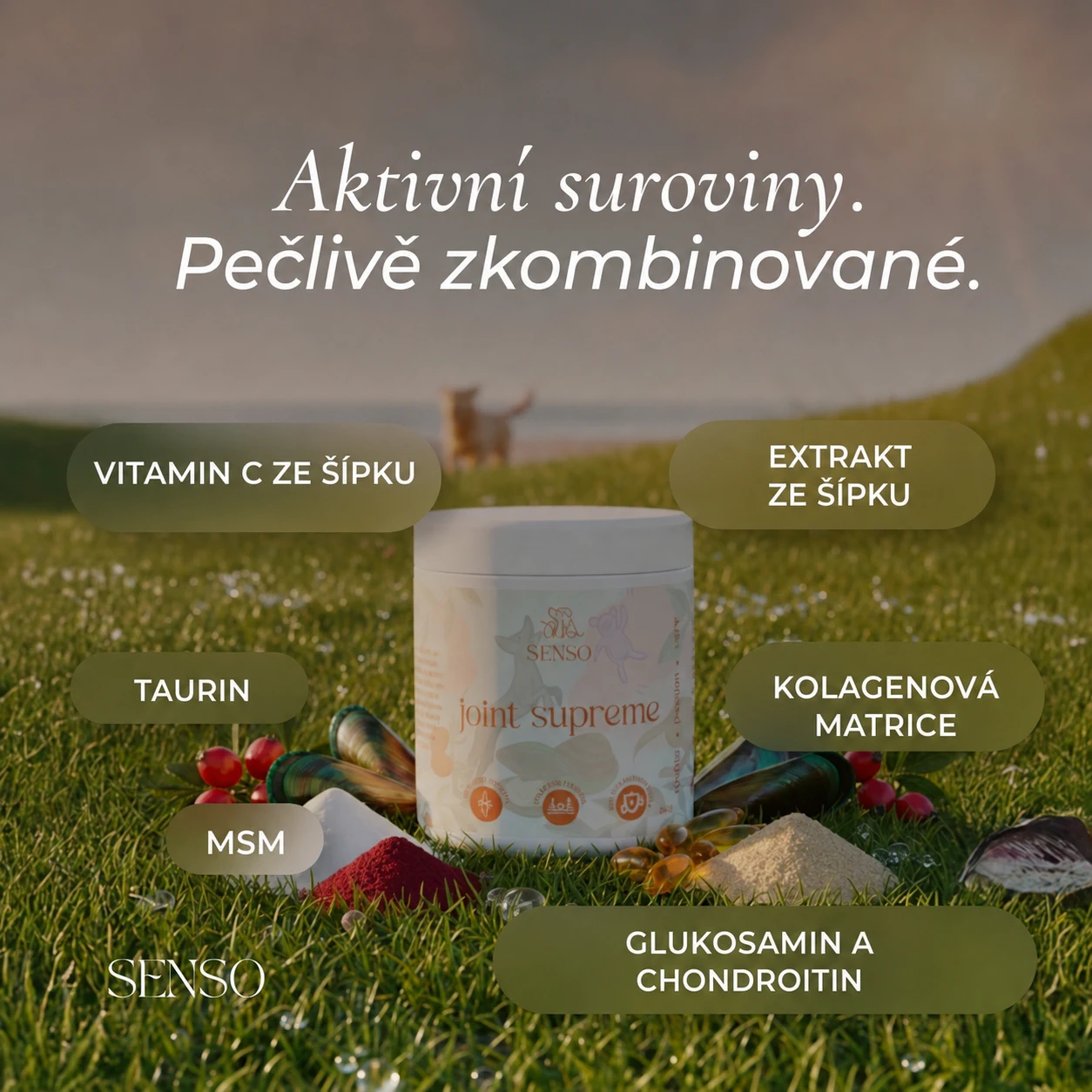 Infografika složek produktu Joint Supreme