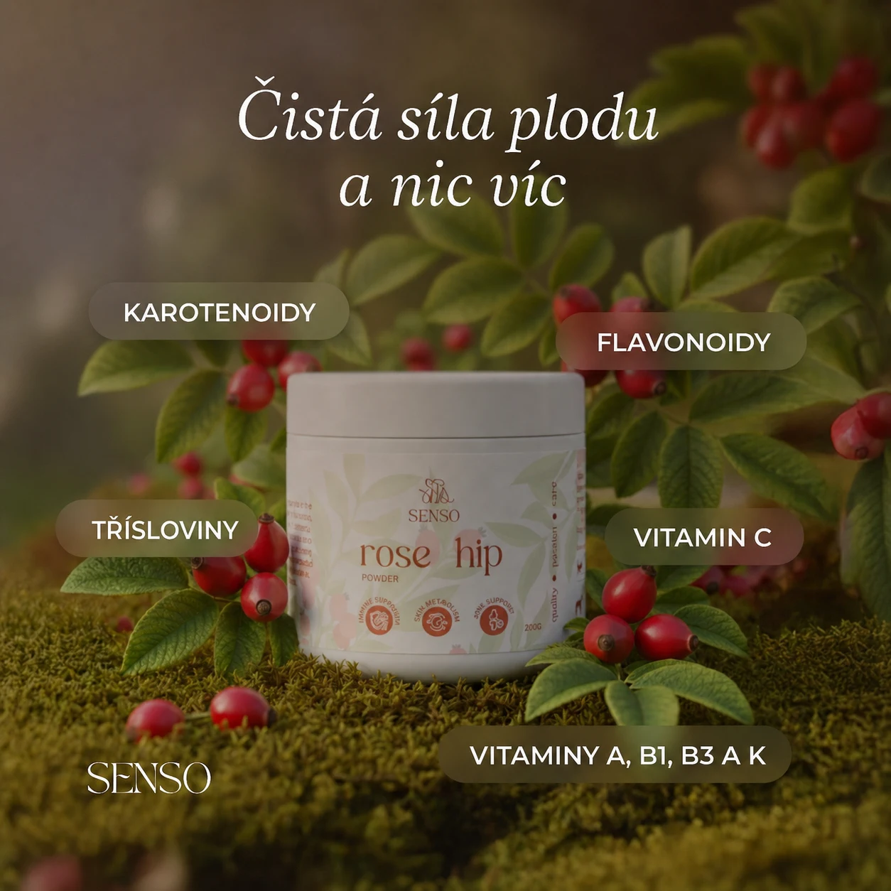 Infografika složek produktu Šípek